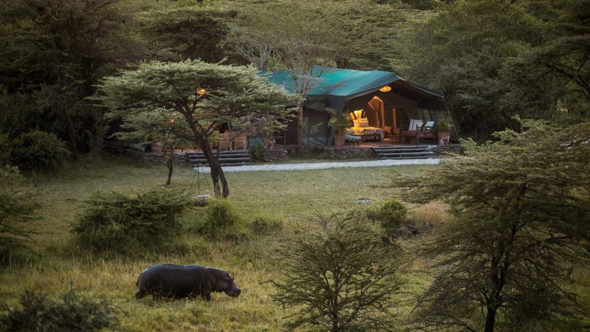 How to invest in african real estate  property news africa